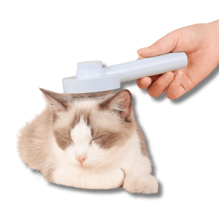 Self Cleaning Slicker Brush for Dogs & Cats – Pet Grooming Brush for Shedding & Detangling