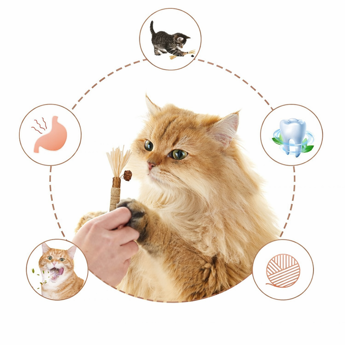 Silvervine Dental Sticks | Cat Chew Treats – Fresh Breath & Healthy Teeth