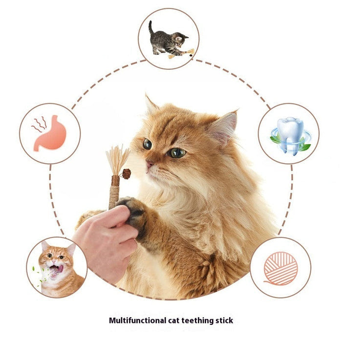 Silvervine Dental Sticks | Cat Chew Treats – Fresh Breath & Healthy Teeth