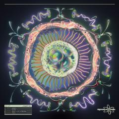 Sindh-Vagali EP