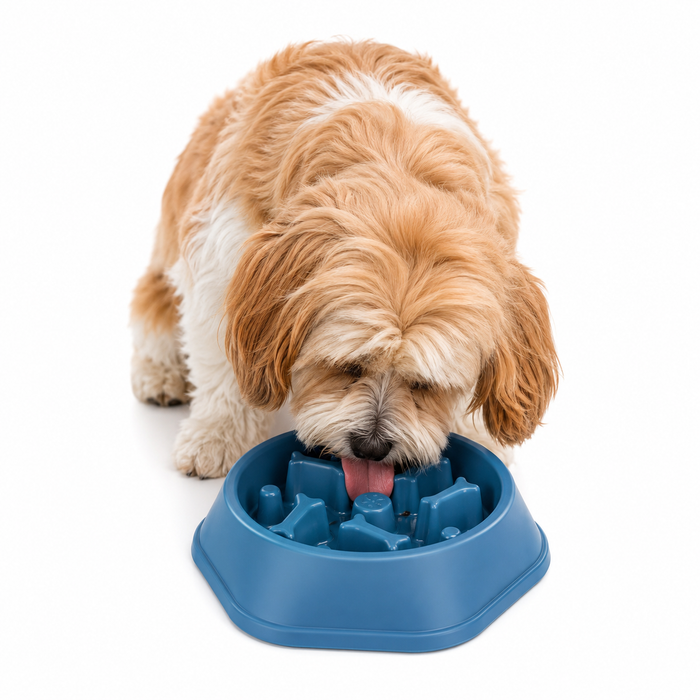 Slow Feeder Dog Bowl & Lick Mat for Small & Medium Dogs | Non-Slip Puzzle