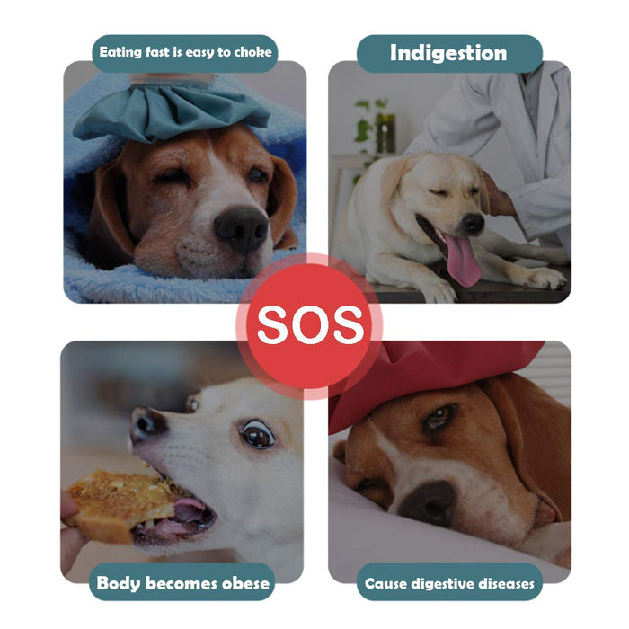 Slow Feeder Dog Bowl & Lick Mat for Small & Medium Dogs | Non-Slip Puzzle