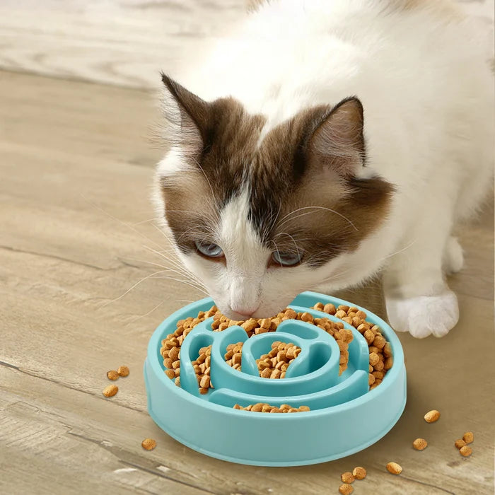 Slow Feeder Dog Bowl – Non-Slip Anti-Gulping Feeding Bowl for Dogs & Cats
