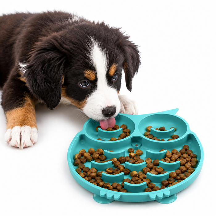 Slow Feeder Dog Bowl with Suction Cups | Interactive Puzzle for Dogs & Cats