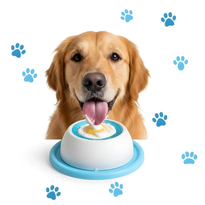 Slow Feeder Treat Bowl | Interactive Feeding – Healthy Eating Fun