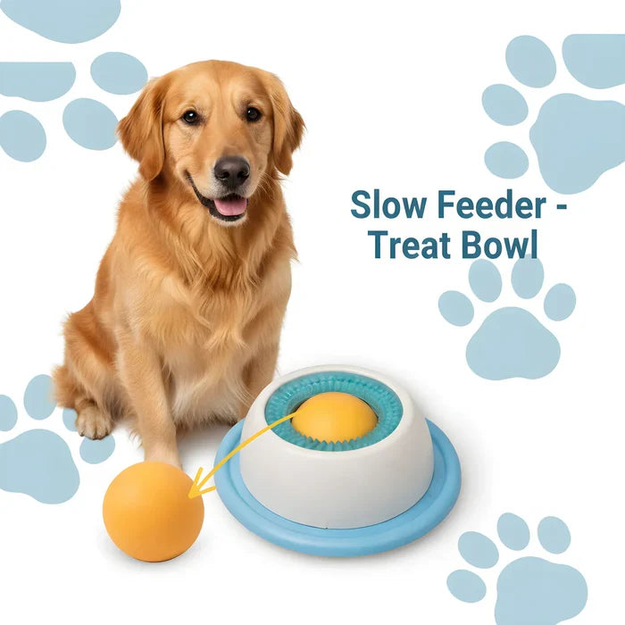 Slow Feeder Treat Bowl | Interactive Feeding – Healthy Eating Fun