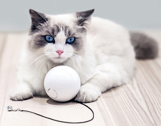 Smart Automatic Interactive Pet Toy Ball