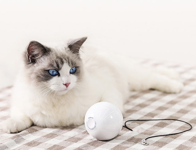 Smart Automatic Interactive Pet Toy Ball