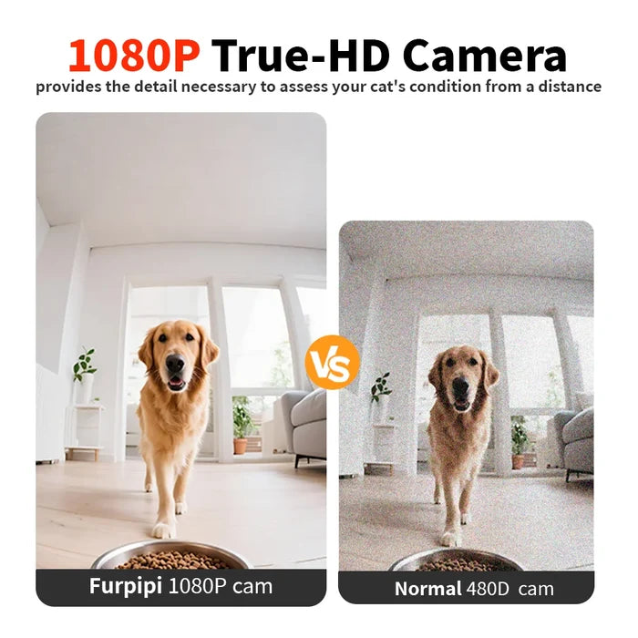 Smart Automatic Pet Feeder 8L with HD Camera, WiFi Control & Voice Recorder
