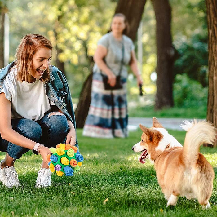 SnuffelBites | Interactive Snuffle Toy for Curious Pets