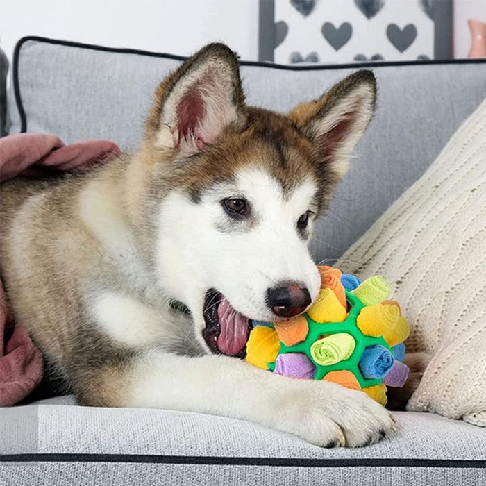 SnuffelBites | Interactive Snuffle Toy for Curious Pets