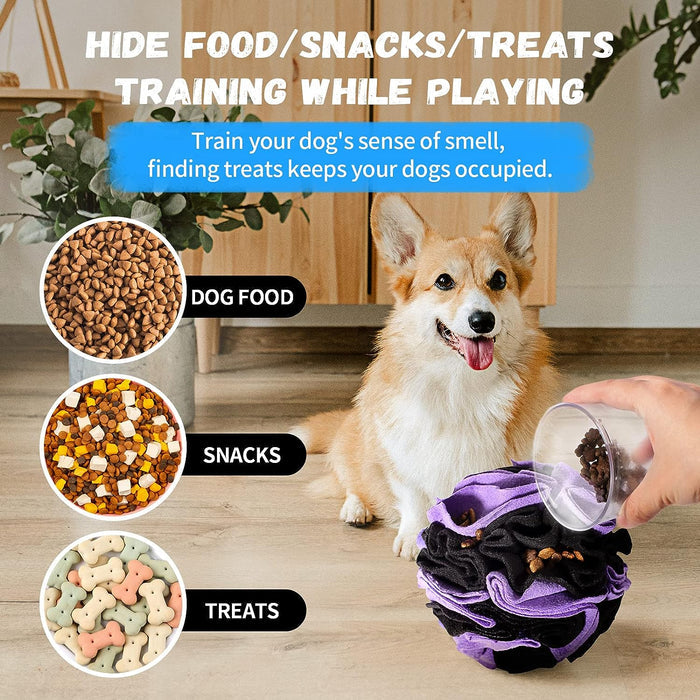 Snuffle Puzzle Ball for Dogs – Interactive Treat Dispensing Enrichment Toy