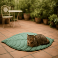 Soft Cat Blanket for Indoor Cats – Double-Sided Cozy Pet Throw Blanket