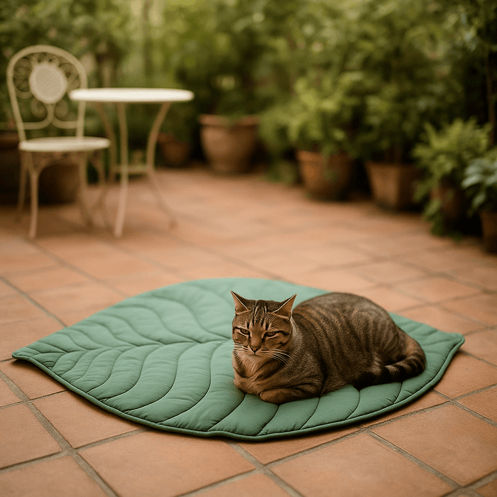 Soft Cat Blanket for Indoor Cats – Double-Sided Cozy Pet Throw Blanket