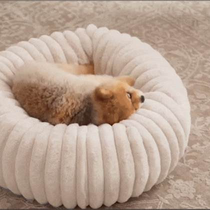 Soft Plush Round Bed for Dogs and Cats | Washable Cozy Calming Nest