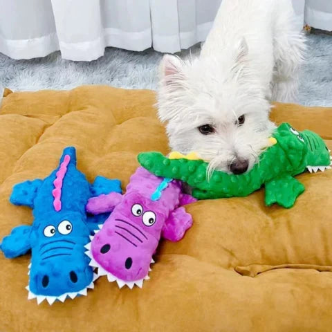 Squeaky crocodile plush for aggressive chewers