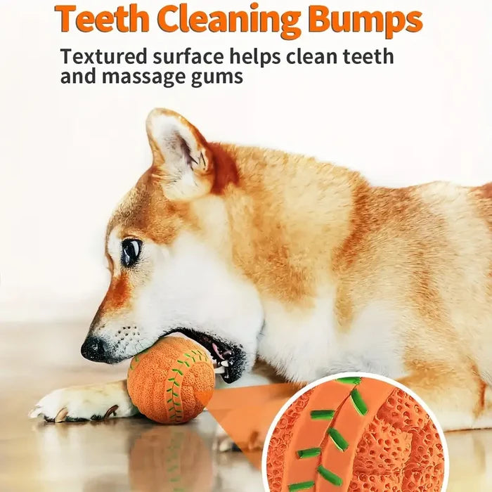 Squeaky Fetch Balls | Interactive Dog Toys – Durable Latex Play Set