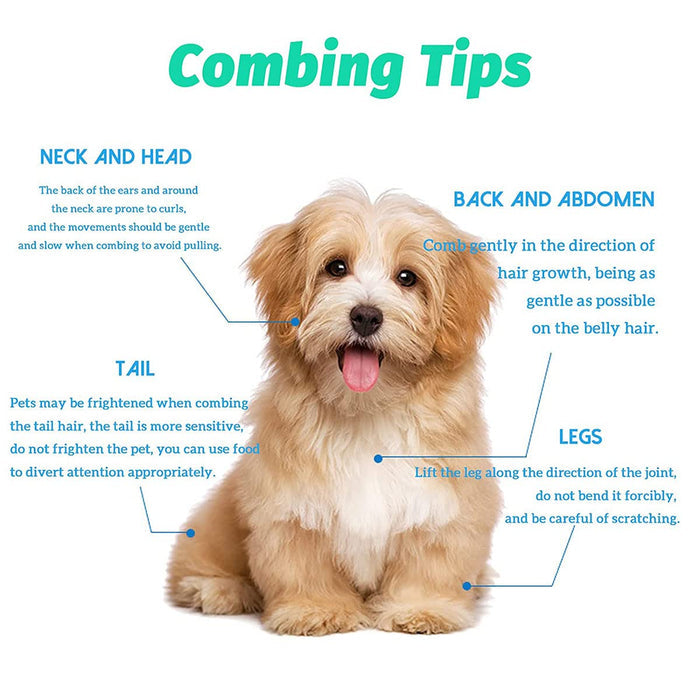 Stainless Pet Flea Comb – Fine Tooth Flea & Grooming Comb for Dogs & Cats
