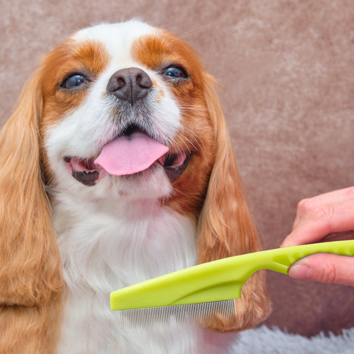 Stainless Pet Flea Comb – Fine Tooth Flea & Grooming Comb for Dogs & Cats