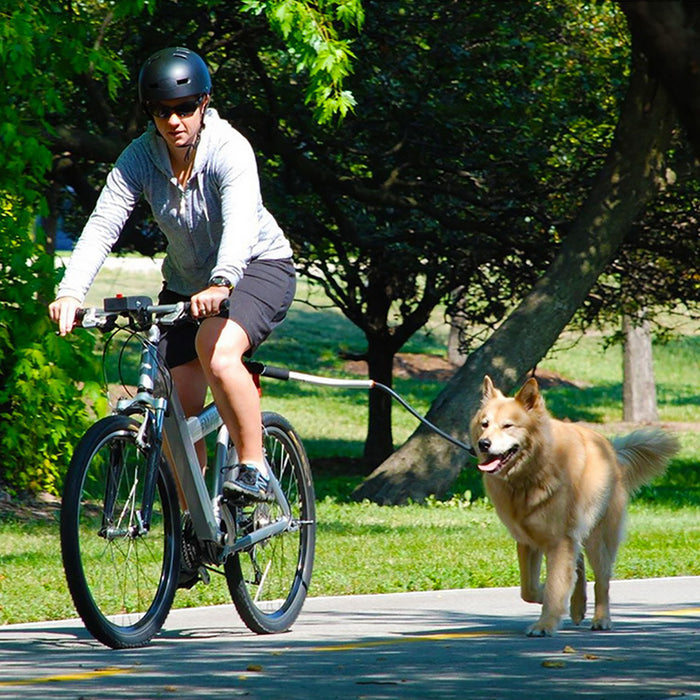 Stainless Steel Bike Leash for Pets