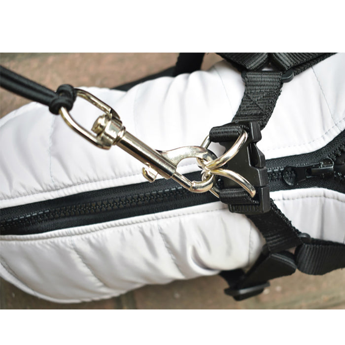 Stainless Steel Bike Leash for Pets