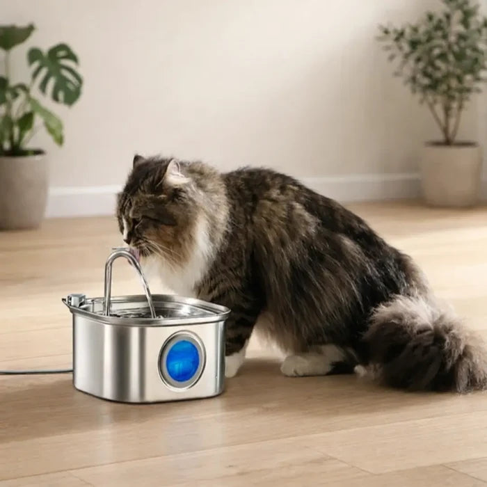 Stainless Steel Cat Water Fountain 3.2L – Automatic Pet Drinking Fountain