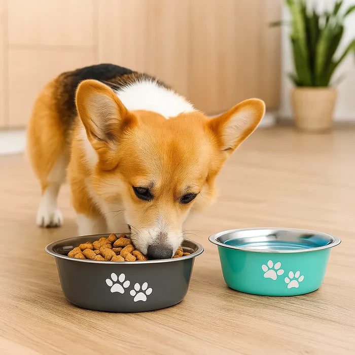 Stainless Steel Dog Bowls Set – Non-Slip Double Feeding Bowls for Food & Water