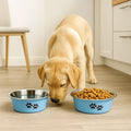 Stainless Steel Dog Bowls Set – Non-Slip Double Feeding Bowls for Food & Water