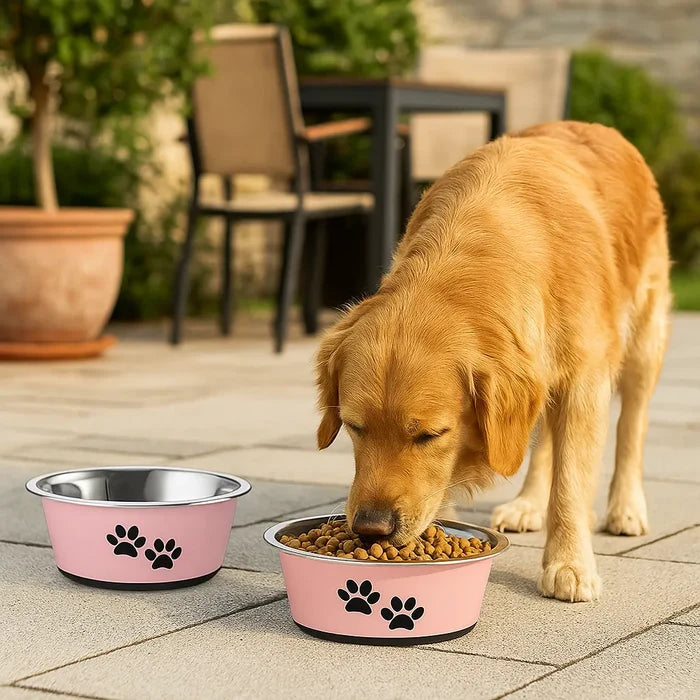 Stainless Steel Dog Bowls Set – Non-Slip Double Feeding Bowls for Food & Water