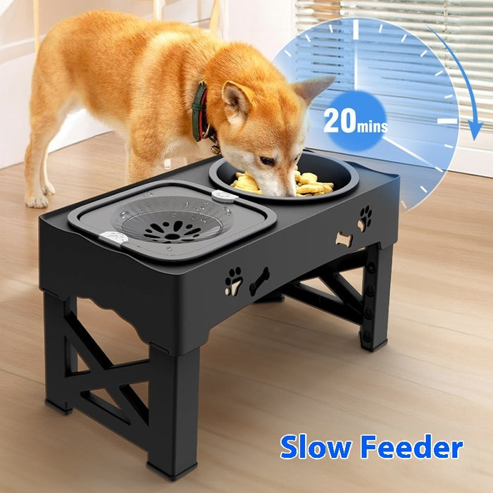 Stainless Steel Pet Feeder with Double Lifting Bowls