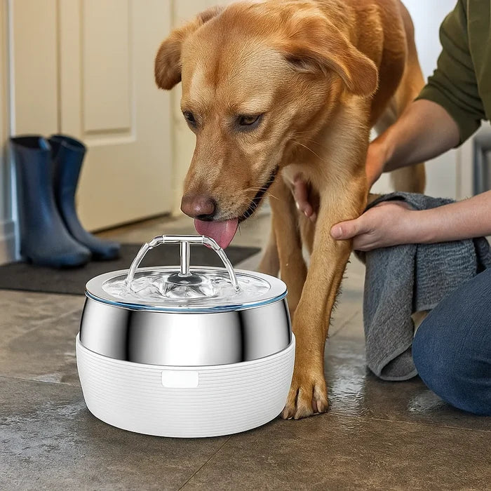 Stainless Steel Pet Water Fountain – Automatic Flowing Drinking Fountain for Cats & Dogs