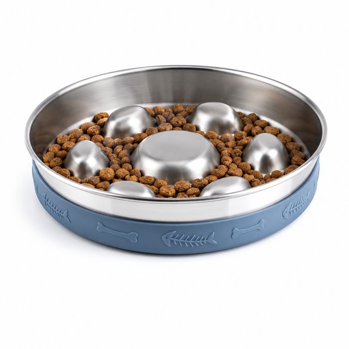 Stainless Steel Slow Feeder Dog Bowl with Non-Slip Silicone Mat for Dogs