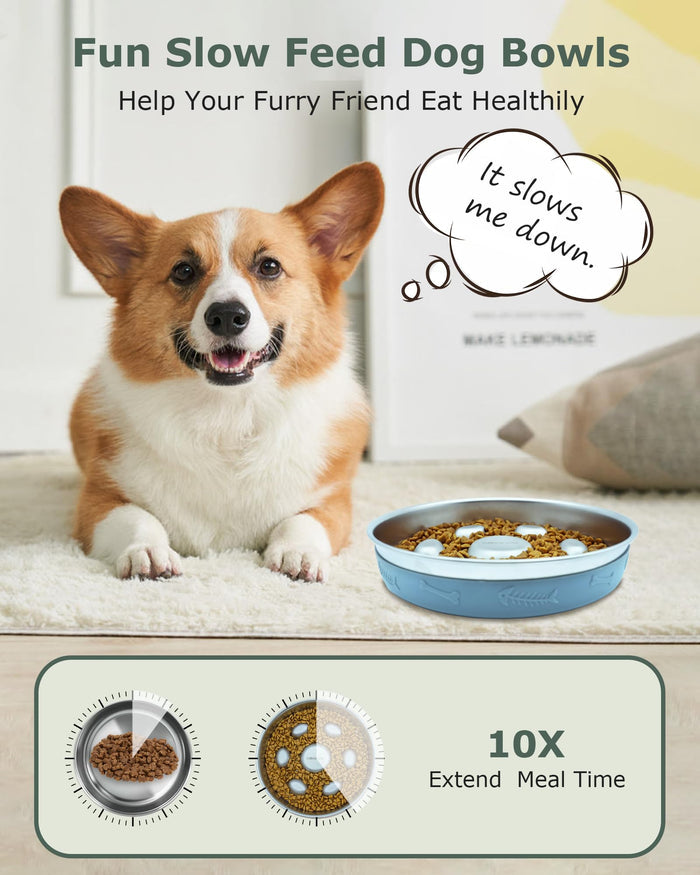 Stainless Steel Slow Feeder Dog Bowl with Non-Slip Silicone Mat for Dogs