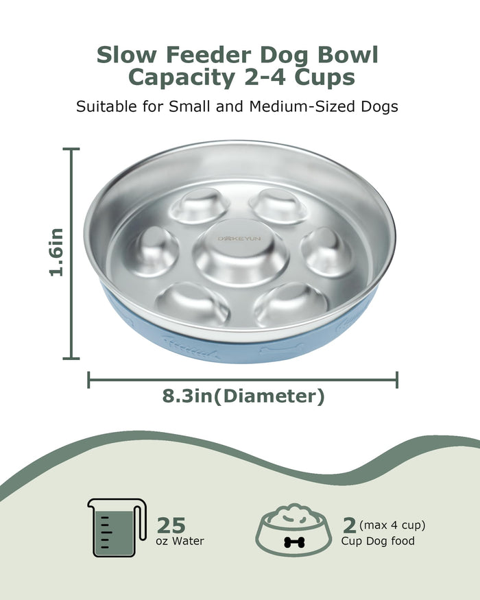 Stainless Steel Slow Feeder Dog Bowl with Non-Slip Silicone Mat for Dogs