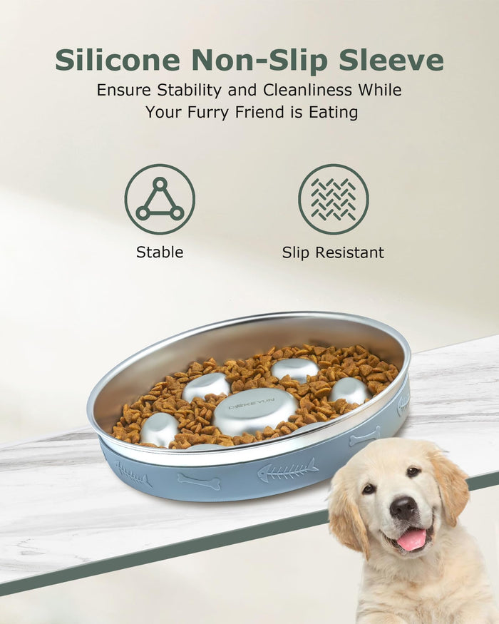 Stainless Steel Slow Feeder Dog Bowl with Non-Slip Silicone Mat for Dogs