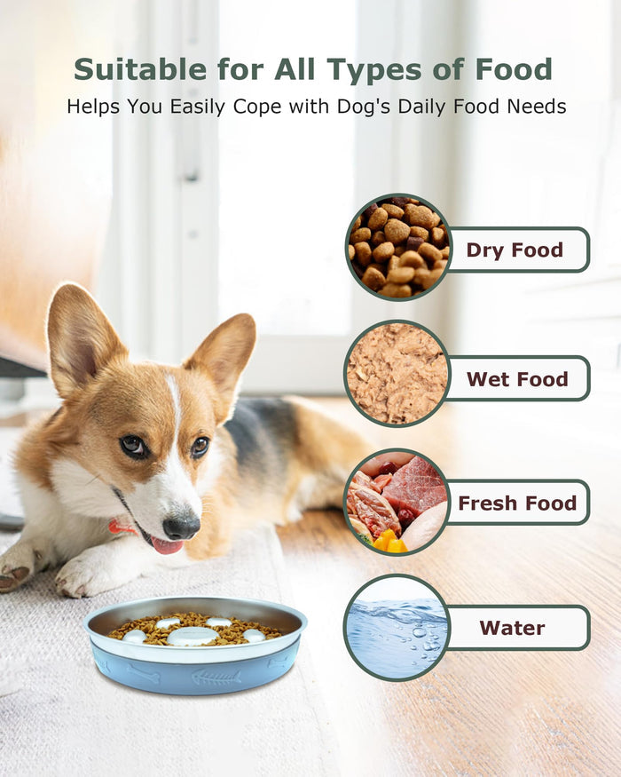 Stainless Steel Slow Feeder Dog Bowl with Non-Slip Silicone Mat for Dogs
