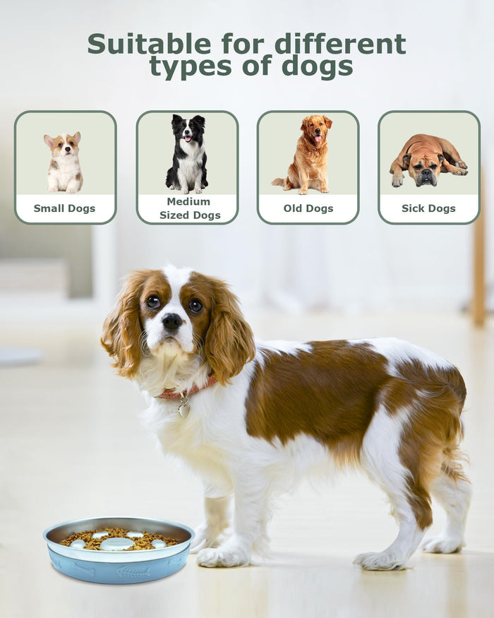 Stainless Steel Slow Feeder Dog Bowl with Non-Slip Silicone Mat for Dogs