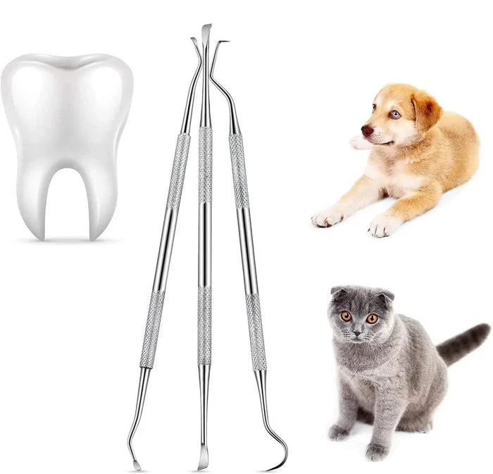 Stainless Steel Tooth Scaler & Scraper | 3pcs Set - Pet Dental Cleaning Tool