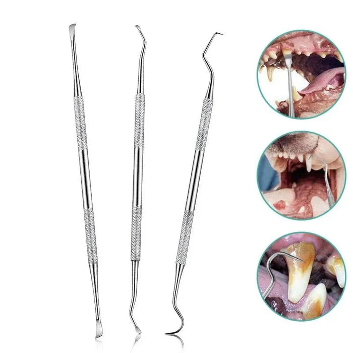 Stainless Steel Tooth Scaler & Scraper | 3pcs Set - Pet Dental Cleaning Tool