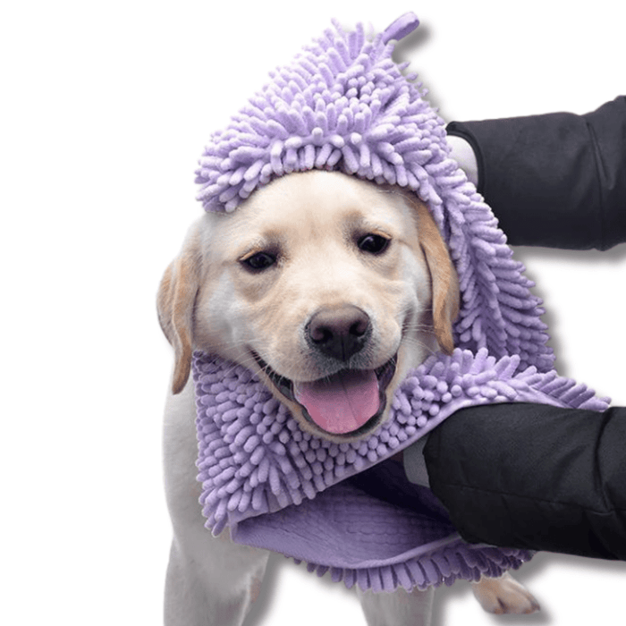 Super Absorbent Dog Towel – Thick Quick Dry Microfiber Towel for Dogs