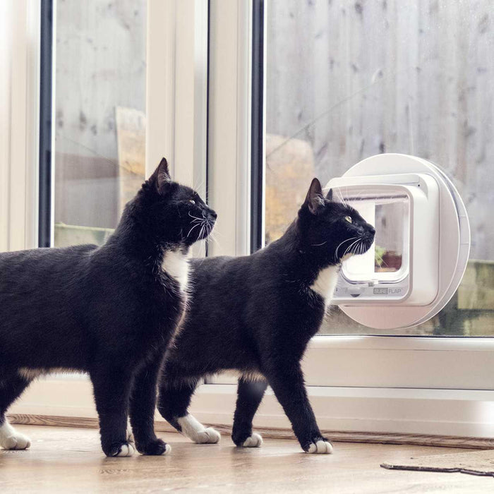 SureFlap Microchip Cat Flap Connect with Wireless Hub