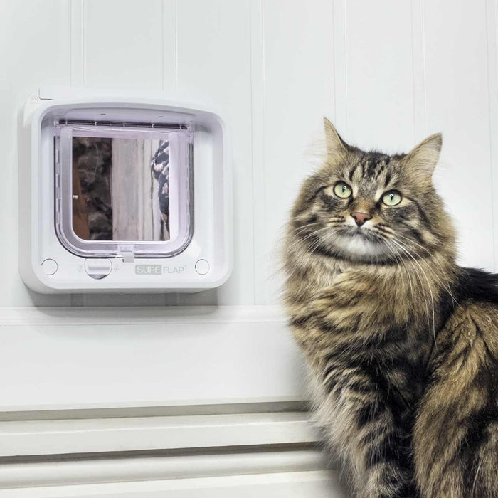 SureFlap Microchip Cat Flap Connect