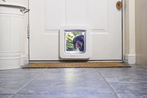 SureFlap Microchip Pet Door Connect with Wireless Hub