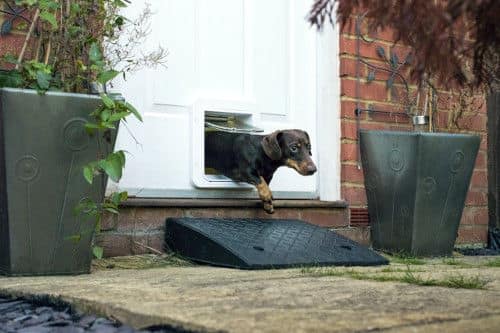 SureFlap Microchip Pet Door Connect with Wireless Hub