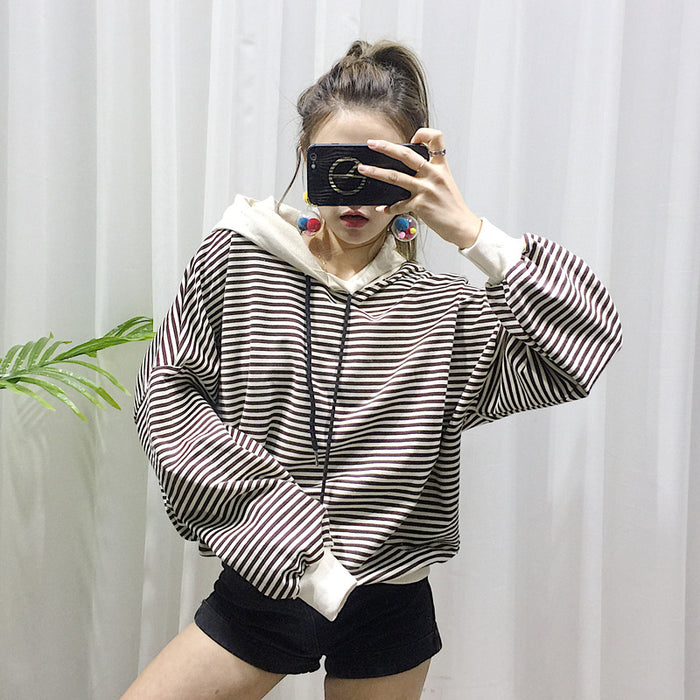 Terry Sweater for Small Pets, Fashionable Clothing
