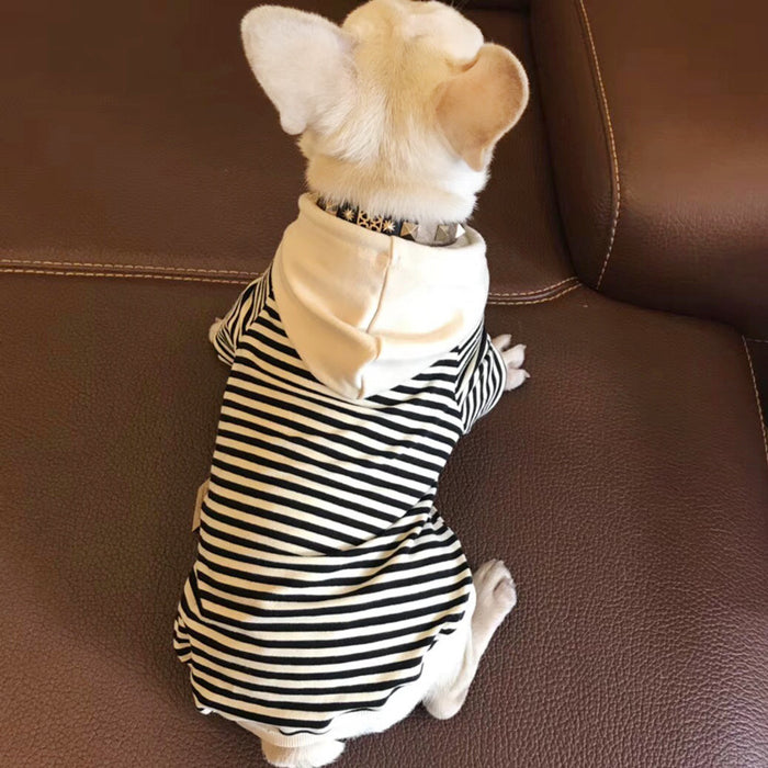 Terry Sweater for Small Pets, Fashionable Clothing