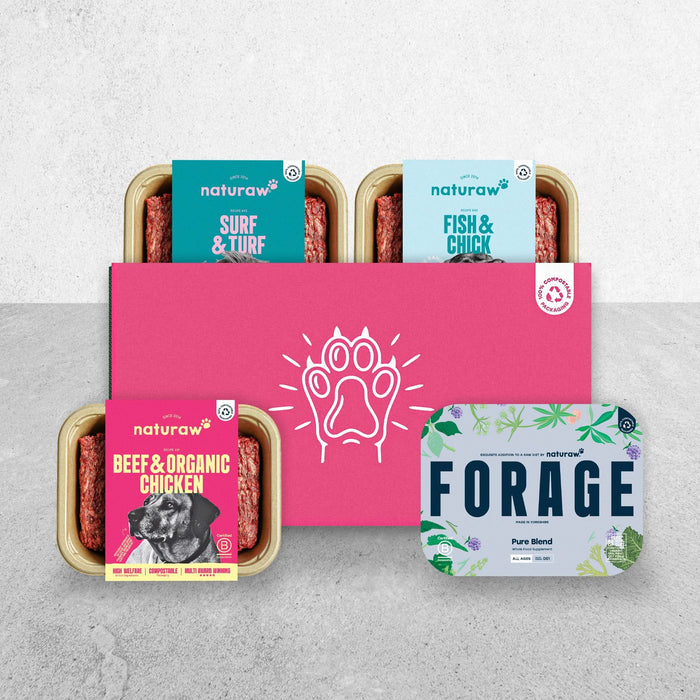 The DIY Bundle - Naturaw