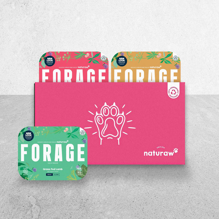 Forage Favourites Bundle - Naturaw
