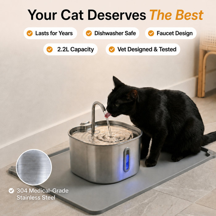The KittySpout™ - 2.2L Fountain 2–month Kit