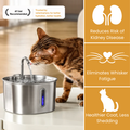 The KittySpout™ - 2.2L Fountain Health and Happiness Kit
